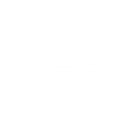 Disdain