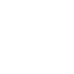 Bow