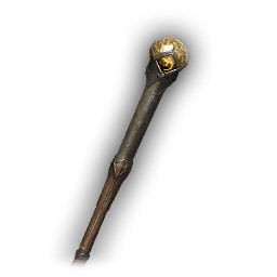 Focus Staff