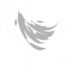 Windwalker Rune icon
