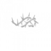 Thorn Sigil icon