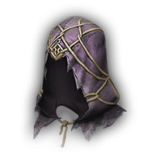 Apprentice Hood
