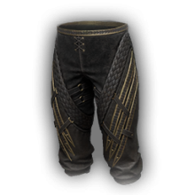 Ace Assassin Pants