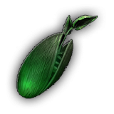 Exotic Seed