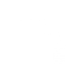 Bow