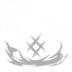 Burst Rune icon