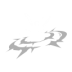 Star Shock icon