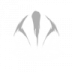 Shapeshift icon