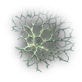 Mutant Mycelium