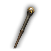 Focus Staff