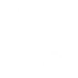 Strongman